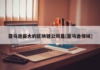 亚马逊最大的区块链公司是[亚马逊领域]