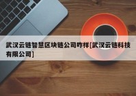 武汉云链智慧区块链公司咋样[武汉云链科技有限公司]