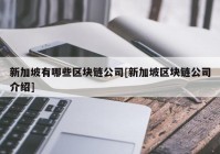 新加坡有哪些区块链公司[新加坡区块链公司介绍]